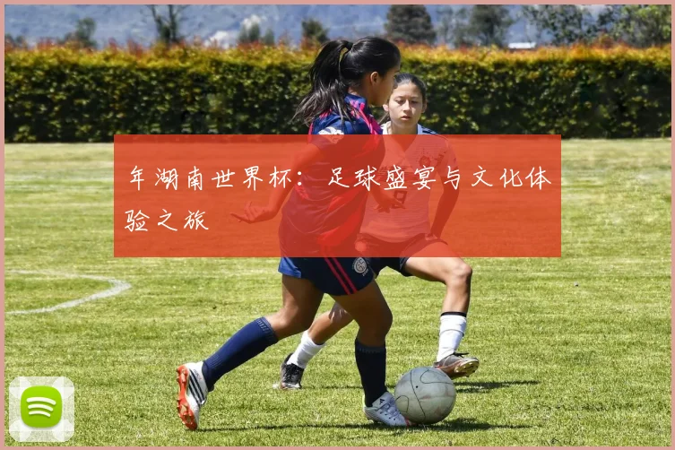 年湖南世界杯：足球盛宴与文化体验之旅